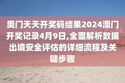 奥门天天开奖码结果2024澳门开奖记录4月9日,全面解析数据出境安全评估的详细流程及关键步骤