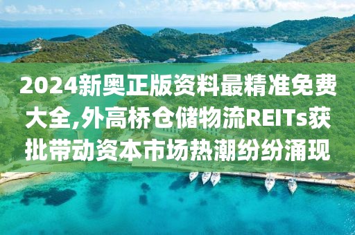 2024新奥正版资料最精准免费大全,外高桥仓储物流REITs获批带动资本市场热潮纷纷涌现