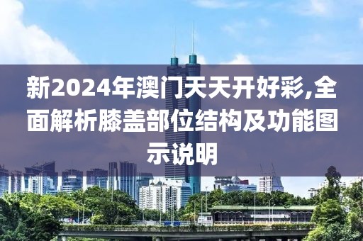 新2024年澳门天天开好彩,全面解析膝盖部位结构及功能图示说明