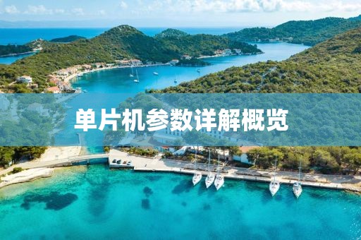 单片机参数详解概览