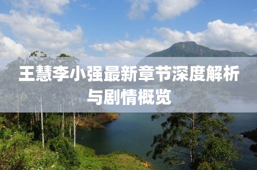 王慧李小强最新章节深度解析与剧情概览