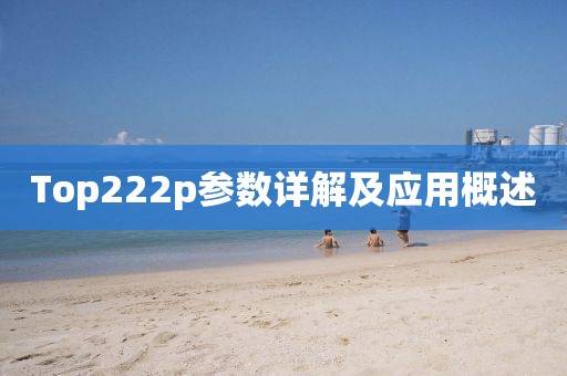 Top222p参数详解及应用概述