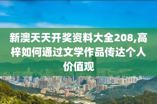 新澳天天开奖资料大全208,高梓如何通过文学作品传达个人价值观
