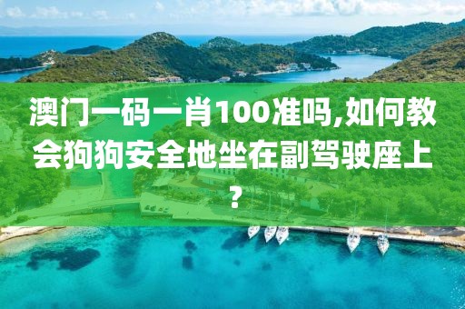 澳门一码一肖100准吗,如何教会狗狗安全地坐在副驾驶座上？