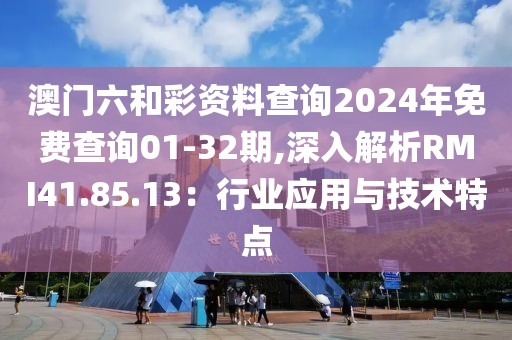 澳门六和彩资料查询2024年免费查询01-32期,深入解析RMI41.85.13：行业应用与技术特点