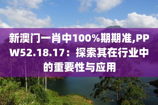新澳门一肖中100%期期准,PPW52.18.17：探索其在行业中的重要性与应用