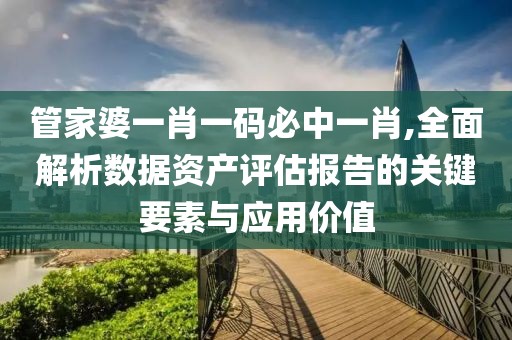 管家婆一肖一码必中一肖,全面解析数据资产评估报告的关键要素与应用价值