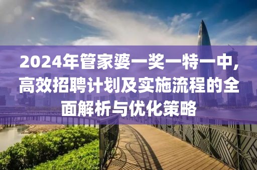 2024年管家婆一奖一特一中,高效招聘计划及实施流程的全面解析与优化策略