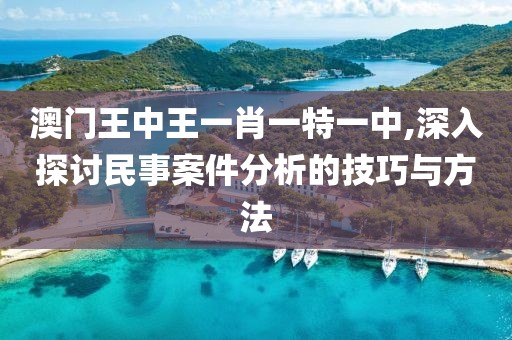 澳门王中王一肖一特一中,深入探讨民事案件分析的技巧与方法