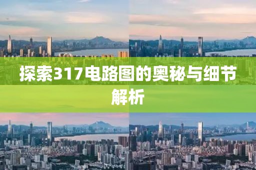探索317电路图的奥秘与细节解析