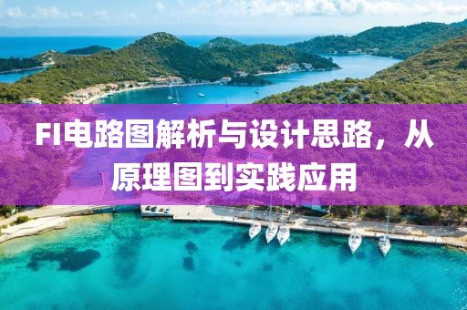 FI电路图解析与设计思路，从原理图到实践应用