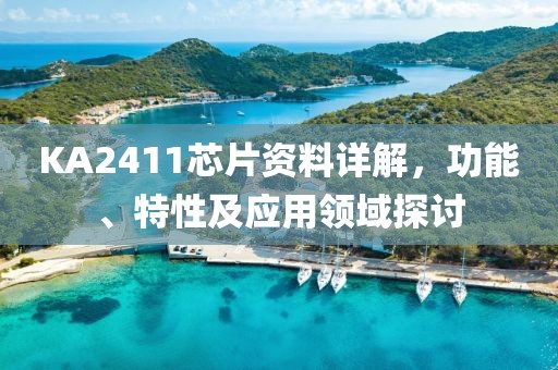 KA2411芯片资料详解，功能、特性及应用领域探讨