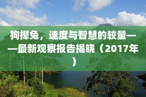 狗撵兔，速度与智慧的较量——最新观察报告揭晓（2017年）