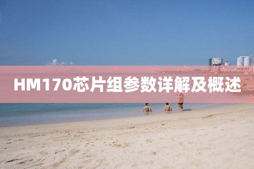 HM170芯片组参数详解及概述