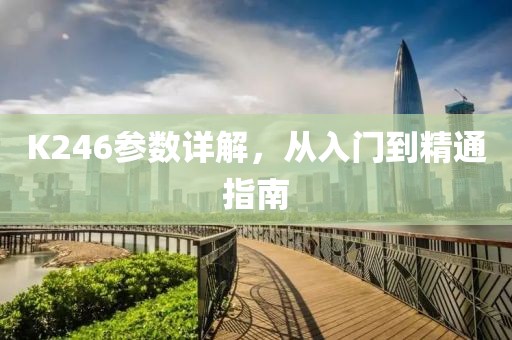 K246参数详解，从入门到精通指南