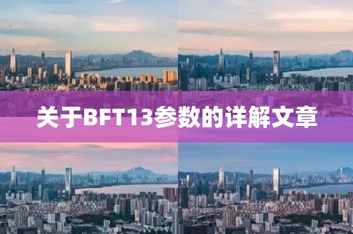 关于BFT13参数的详解文章