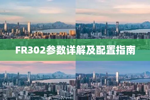 FR302参数详解及配置指南