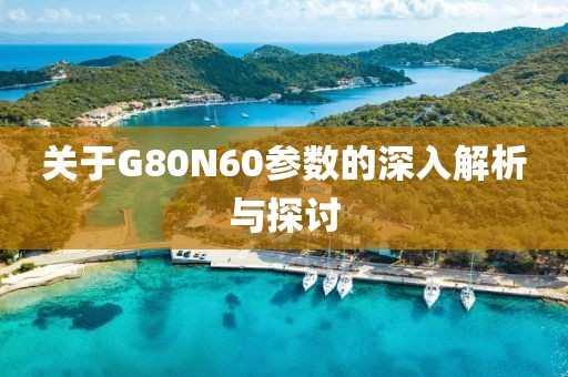 关于G80N60参数的深入解析与探讨