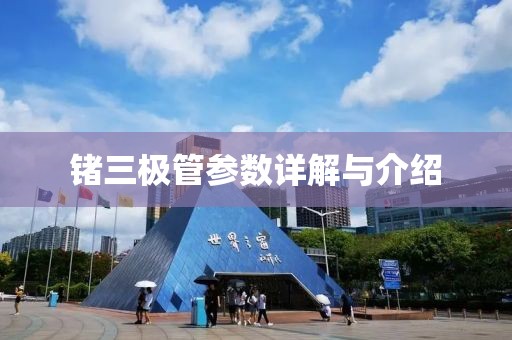 寻梦人 第74页