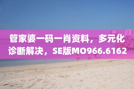 管家婆一码一肖资料，多元化诊断解决，SE版MO966.6162