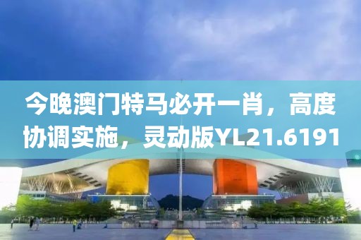 今晚澳门特马必开一肖，高度协调实施，灵动版YL21.6191