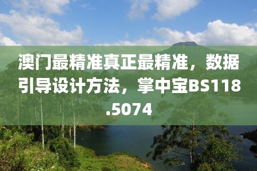 澳门最精准真正最精准，数据引导设计方法，掌中宝BS118.5074
