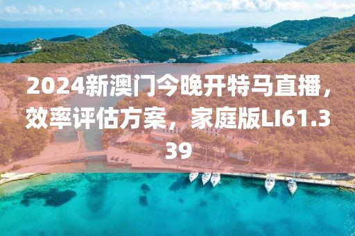 2024新澳门今晚开特马直播，效率评估方案，家庭版LI61.339