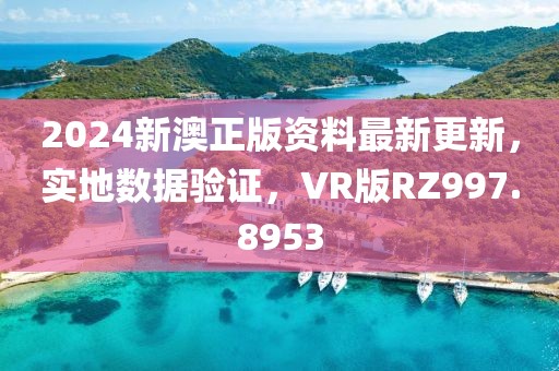 2024新澳正版资料最新更新，实地数据验证，VR版RZ997.8953