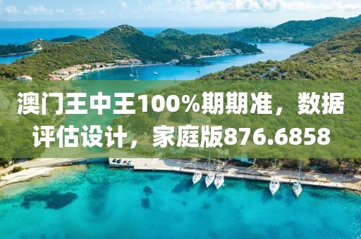 澳门王中王100%期期准，数据评估设计，家庭版876.6858