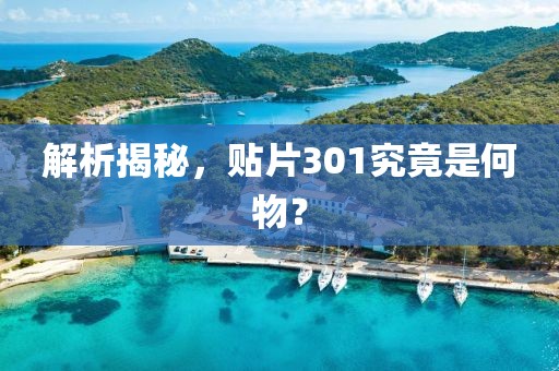 解析揭秘，贴片301究竟是何物？