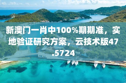 新澳门一肖中100%期期准，实地验证研究方案，云技术版47.5724