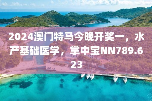 2024澳门特马今晚开奖一，水产基础医学，掌中宝NN789.623