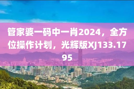 管家婆一码中一肖2024，全方位操作计划，光辉版XJ133.1795