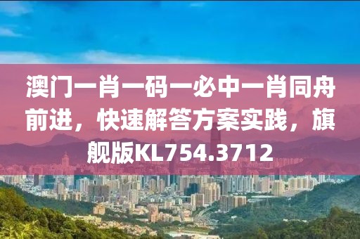 澳门一肖一码一必中一肖同舟前进，快速解答方案实践，旗舰版KL754.3712