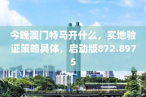 今晚澳门特马开什么，实地验证策略具体，启动版872.8975