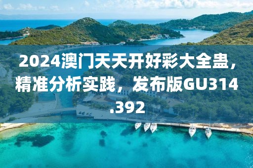 2024澳门天天开好彩大全蛊，精准分析实践，发布版GU314.392