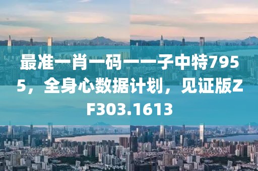最准一肖一码一一子中特7955，全身心数据计划，见证版ZF303.1613