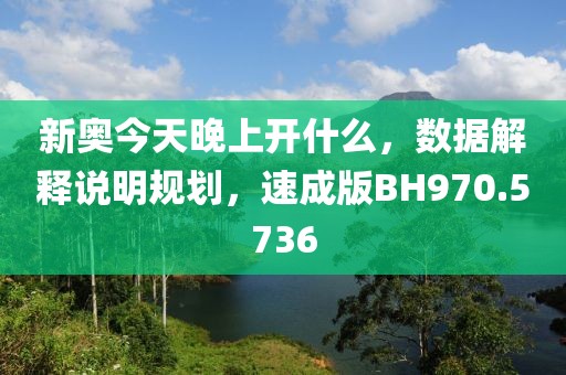 新奥今天晚上开什么，数据解释说明规划，速成版BH970.5736