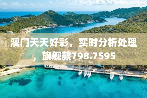 澳门天天好彩，实时分析处理，旗舰款798.7595