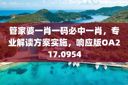 管家婆一肖一码必中一肖，专业解读方案实施，响应版OA217.0954