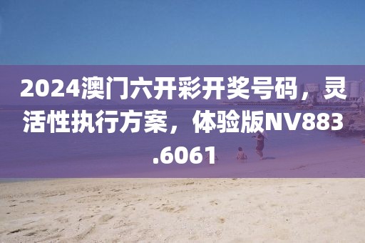 2024澳门六开彩开奖号码，灵活性执行方案，体验版NV883.6061