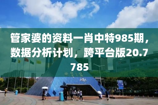 管家婆的资料一肖中特985期，数据分析计划，跨平台版20.7785