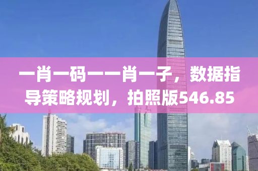 一肖一码一一肖一子，数据指导策略规划，拍照版546.85