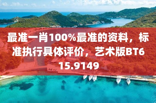 最准一肖100%最准的资料，标准执行具体评价，艺术版BT615.9149