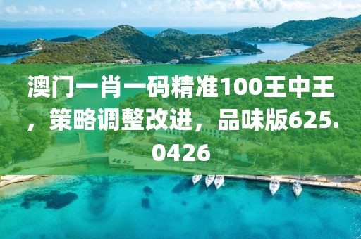 澳门一肖一码精准100王中王，策略调整改进，品味版625.0426