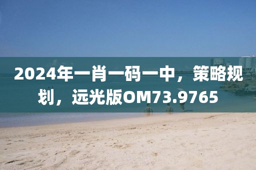 2024年一肖一码一中，策略规划，远光版OM73.9765