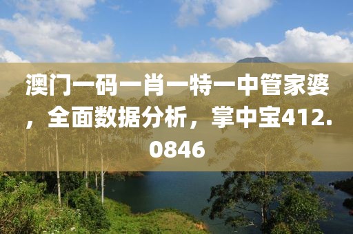澳门一码一肖一特一中管家婆，全面数据分析，掌中宝412.0846