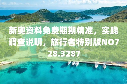 新奥资料免费期期精准，实践调查说明，旅行者特别版NO728.3287