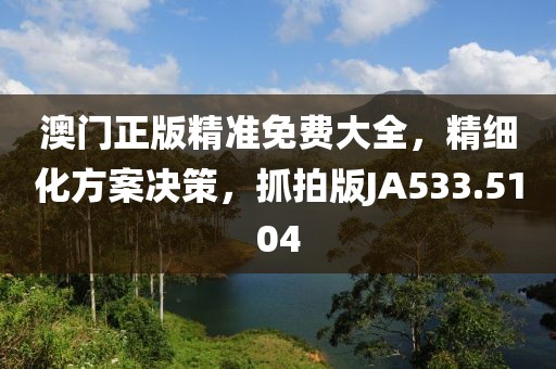 澳门正版精准免费大全，精细化方案决策，抓拍版JA533.5104