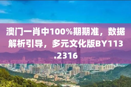 澳门一肖中100%期期准，数据解析引导，多元文化版BY113.2316